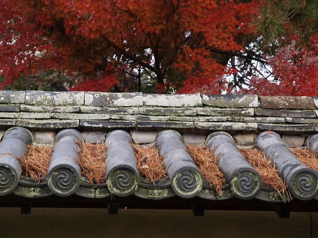 　　落ち葉の夢殿との境の塀<br /><br />先ほど　連子窓こしに写した紅葉