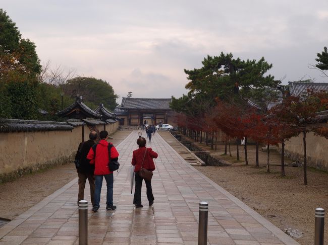 小雨がぼつぼつ。。止んだり　降ったり