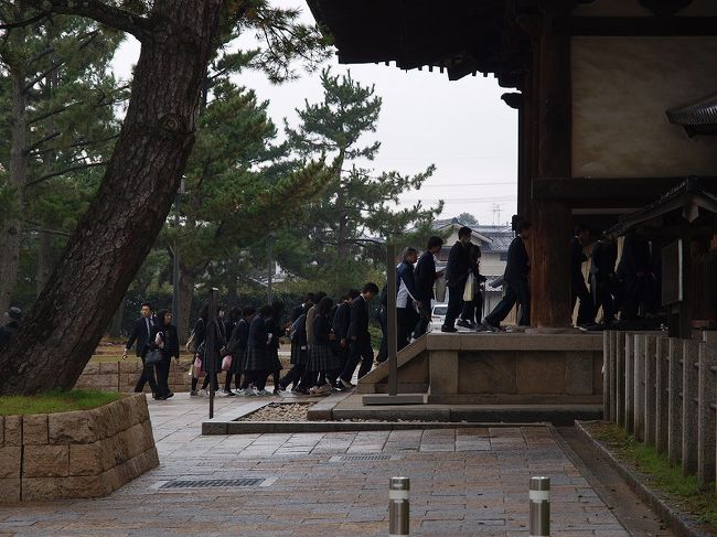 南大門を行く　修学旅行生