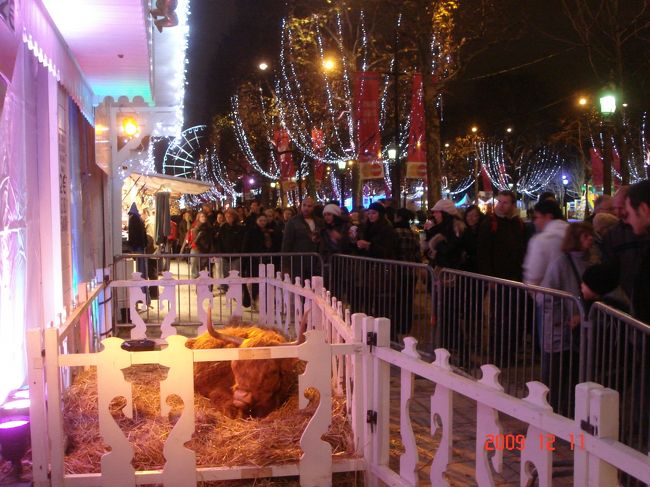 　☆☆☆【水牛だって連れてきちゃいました】☆☆☆<br /><br /><br />  　お客さんは喜んでいますが<br />　　本人は少しすねている様子…<br /><br /><br />　『(∪o∪)。。。モー！　牛の身にもなってほしいワ(-.-;)』<br />　