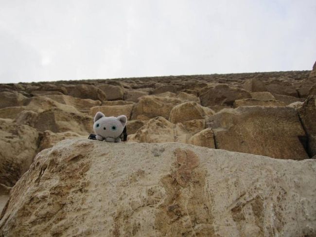 石の大きさは・・・