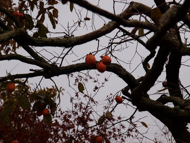 法隆寺となれば　柿くえば<br /><br />　　ありましたので写しました。