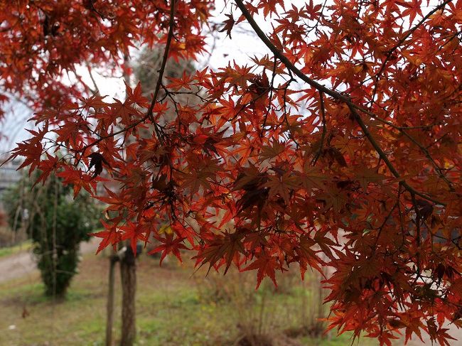 橋を渡り　公園にて