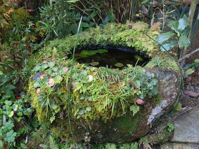 九体の仏さんに挨拶、、（九体寺とも言われます）<br /><br />　　　　　表へ