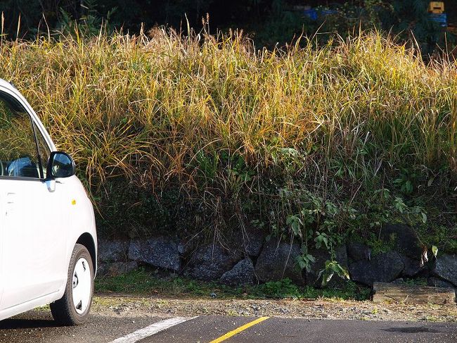 そろそろ帰る時間<br /><br />あ志び乃さんで休む時間もなくレンタカーへ<br /><br />　　　奈良駅へ