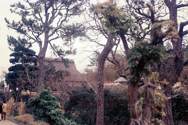 あ志び乃さんがまだ農家だった頃のあ志び乃さん<br /><br />付近に一軒もお店がなかった頃<br /><br />堀　辰雄さんも馬酔木の花が好きだったそうで<br />※「まあ、これがあなたの大好きな馬酔木の花」<br />　　妻もその潅木のそばに寄ってきながら。。。