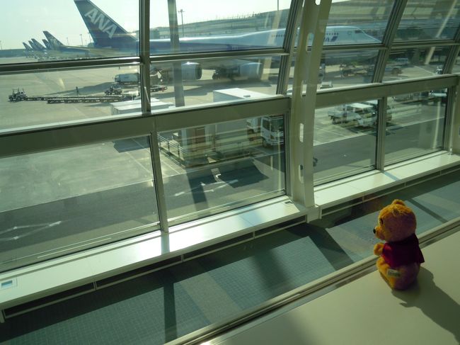 羽田空港での乗り継ぎ時間がタップリィ。。<br /><br />登場口前のロビーでまったりプゥ〜☆<br /><br />でも、有名人が通らないかしらん！と通路を見つめる母様＆プーちゃんであった＾＾