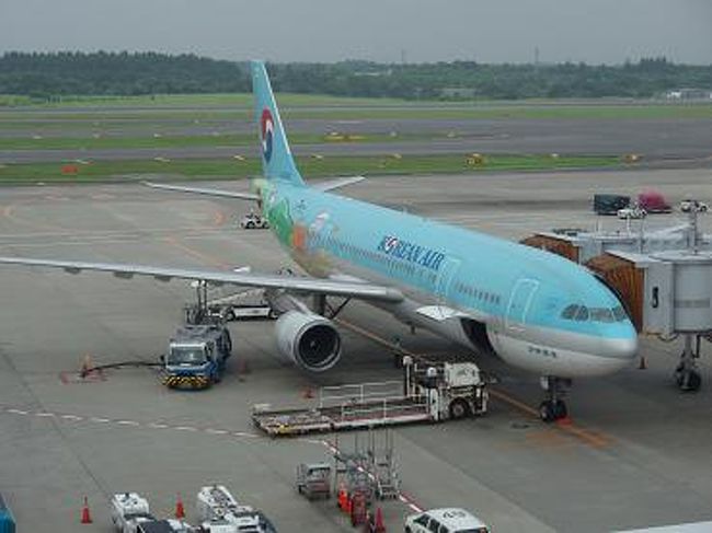 ＨＩＳの２０周年記念セールで、<br />済州島豪華ホテルに泊まり充実した観光＆食事付きの格安ツアー２泊３日間の旅です。<br /><br />朝７時頃成田に到着して、屋上で飛行機見物〜<br />済州島の観光地とかの模様が描かれていてカワイイ♪