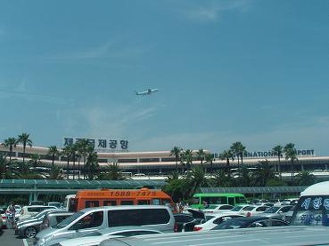 済州島は暖かくて、南国な感じがしました！<br />