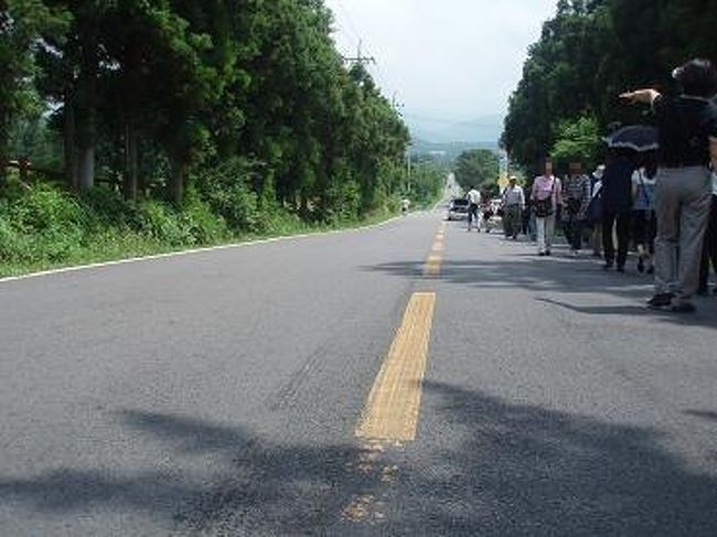 午後は、市内観光です。まずは、【トケビ道路】<br /><br />上り坂なのにエンジンを止めた車が登っていくように見える道路です。<br /><br />いわゆる目の錯覚で、昔は見えないお化けが後から押して登っていくと思われていたようです。<br /><br />写真じゃ良く分かりませんが（笑）<br />