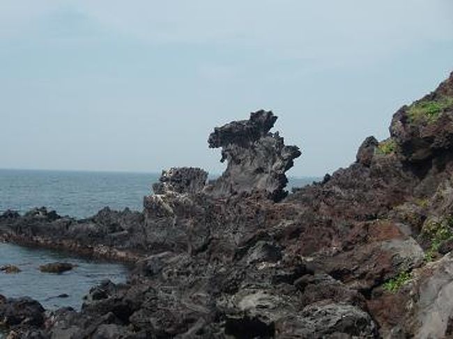 溶岩が噴出して固まった形状岩です。<br />龍の形に見えるような？