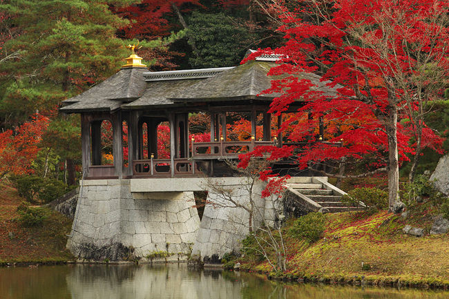 京都の紅葉 修学院離宮 （しゅうがくいんりきゅう） ～錦秋の京