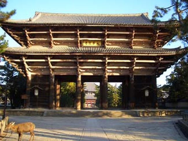 東大寺の南大門。すごい迫力。そしてどうしたって視界のなかに鹿がちょろりと…。