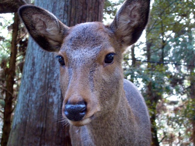 どアップ！！<br />なんかちょっと笑ってるように見える…