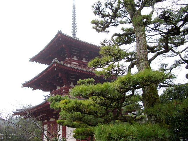 法隆寺の周辺の世界遺産群も見応えがある。多少歩くけど全部見てまわるのがおすすめ。