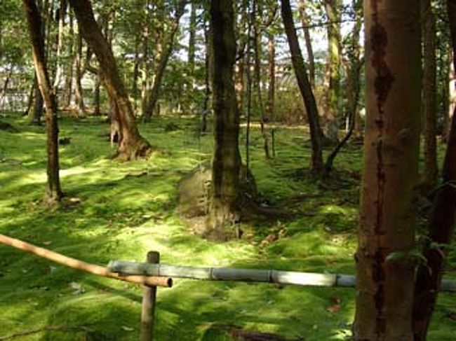 秋篠寺の仏像はそれはすばらしいけど、こちらの庭の苔もまた宝石のよう。