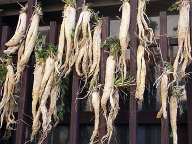 街なみをみてまわるのは本当におもしろい。