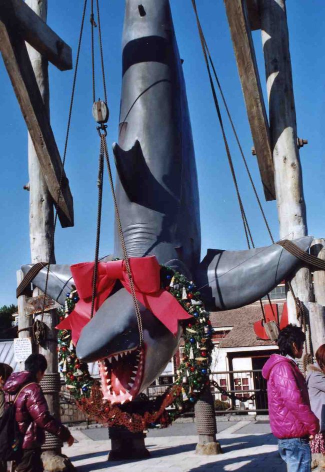 サメもおめかし☆