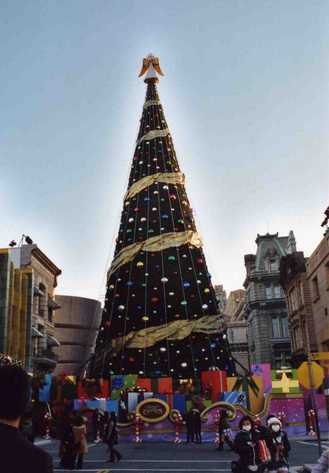 迫力のあるクリスマスツリー。<br />本当に大きいです。