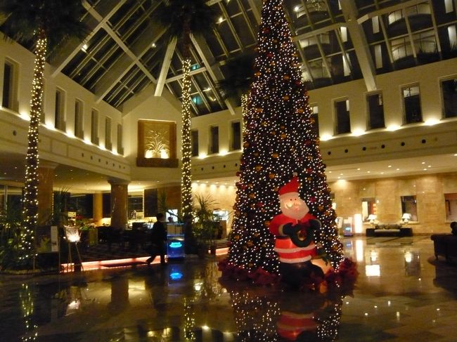 ロビーにサンタさんがいて<br />家族連れが写真を撮ってました。<br />クリスマスに来て良かった♪<br />