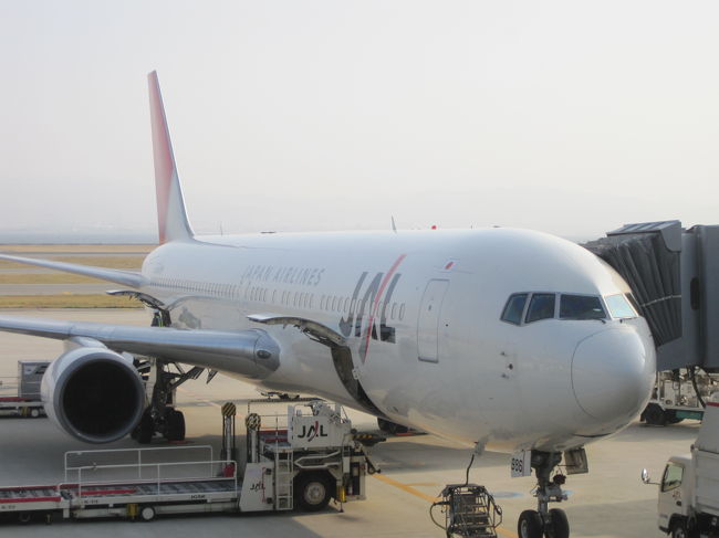 一応僅かの株主だから…と言う訳でもないが<br />（大損しておこってるぞ〜）でもポシャンは大変<br />JL再建に協力！