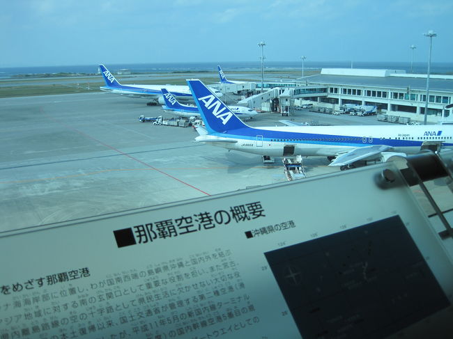 いよいよ沖縄とも<br />しばししばしの別れじゃ<br /><br />帰りはANA?　そうなんです<br />一応ANAの株主でもあります<br />もっともっと高く高く上がったらまた来れるのだがね…