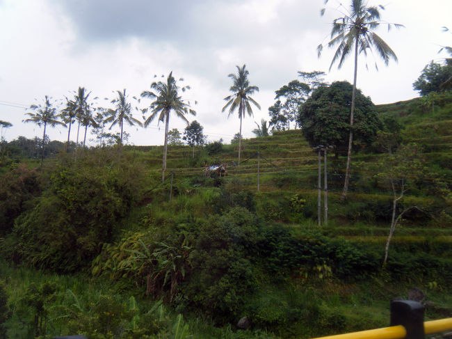ホテルから約2時間の道のり