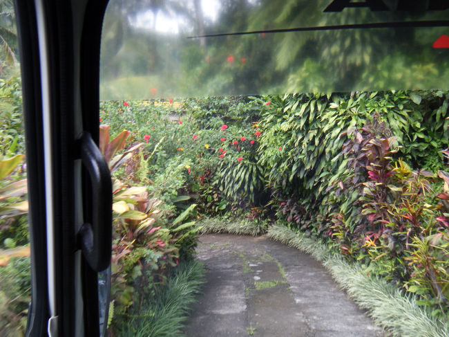 ようやくラフティングのスタート地点に到着