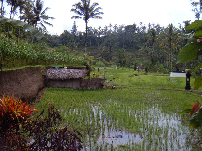 スタート地点のまわりは、のどかな田園風景が広がります。