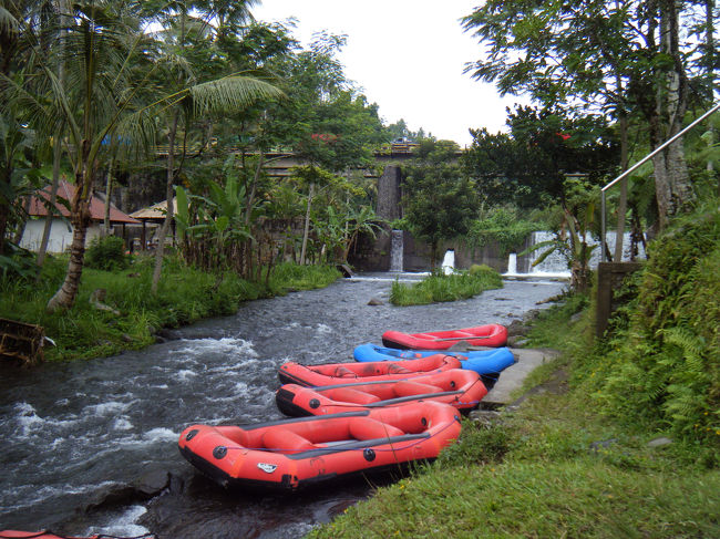 スタート地点から上流側を見たらこんな感じです。
