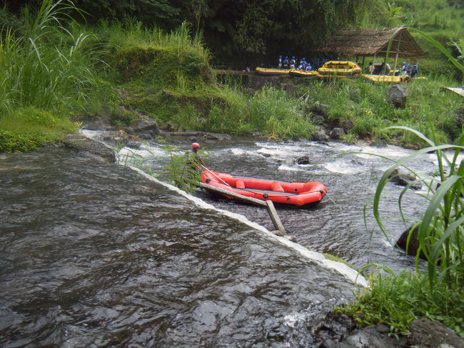 再スタートです。
