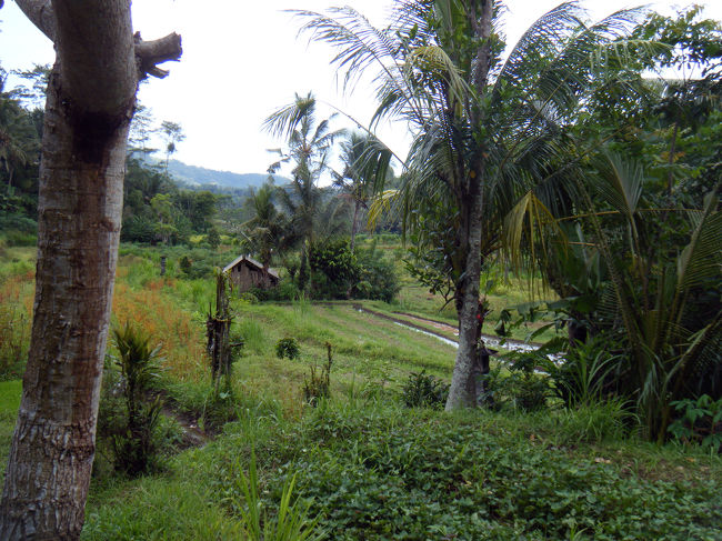 まわりの景色もいいですねぇ〜