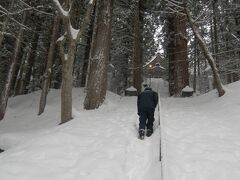 宿が宝光社の裏だったので、荷物を置いてさっそく参拝。
270段の石段は雪に埋もれてしまっていました。