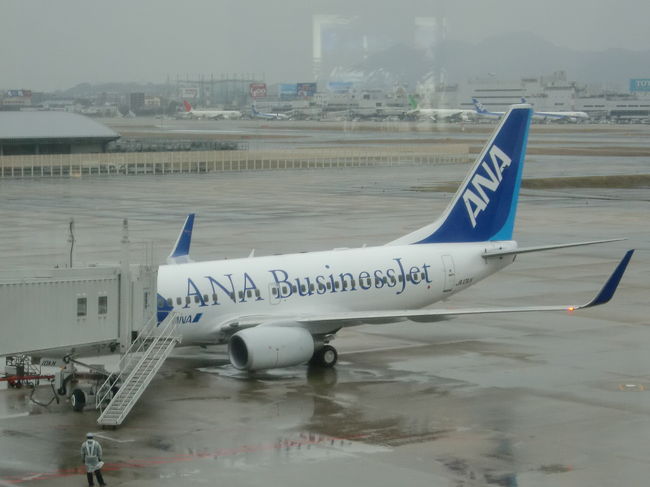 ANA Business Jet インド ムンバイ』ムンバイ(インド)の旅行記・ブログ