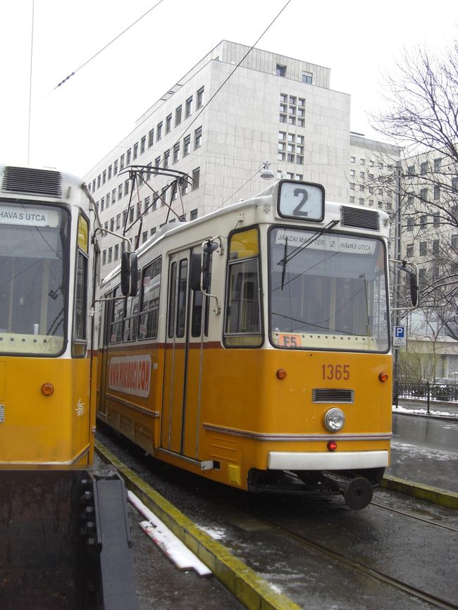 お世話になりました