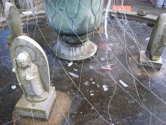 寒くて凍ってしまってます。<br />でも中で金魚が元気！