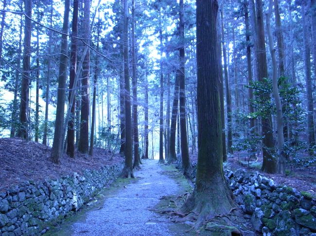 高山寺にて。<br />癒されました。