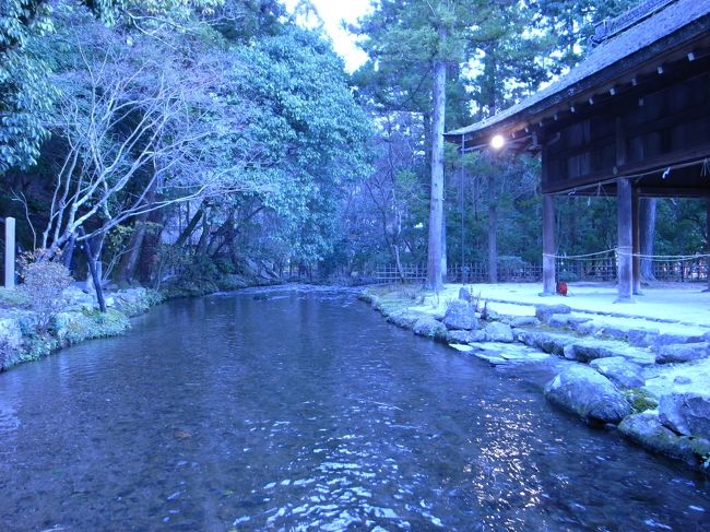 キレイな神社だ。