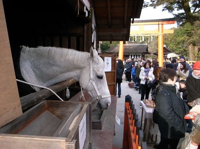 しんめチャンかわいい。