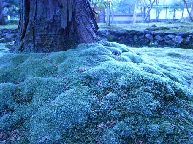 さすがに美しい。<br />来てよかった。<br />ここの御朱印は面白いですよ。