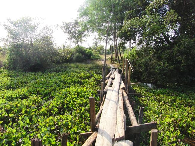 木をかけただけの橋を渡る。<br /><br />なかなか楽しい。