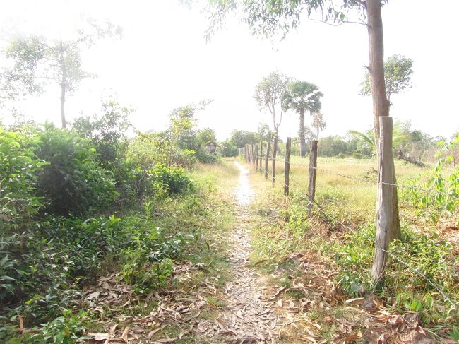 ここをもう少し進む。