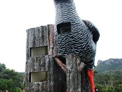 細く、険しく、急な上り坂を走り、
たどり着いたヤンバルクイナ展望台は
巨大でリアルでちょっと気味が悪いわ・・・。