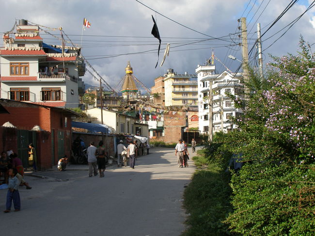 散策路をさらに進みます。