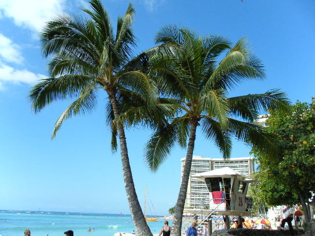 今日もいい天気です。