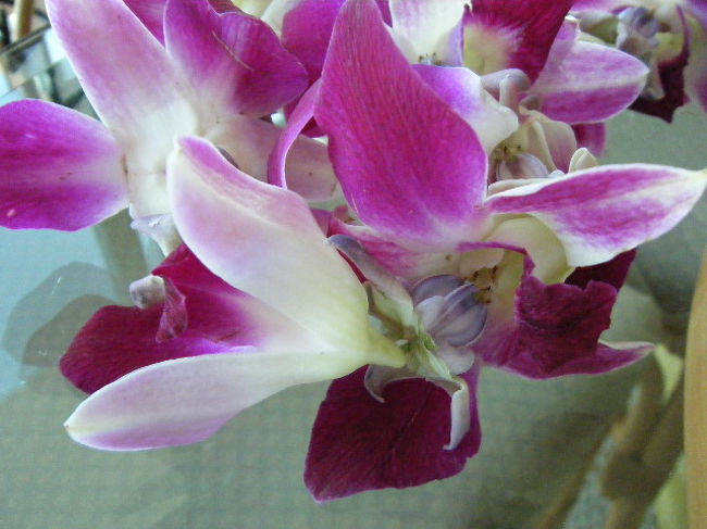 昼食後、レイメイキングの講習へ。