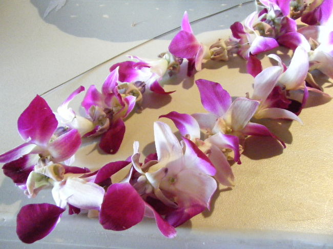 出来上がったレイです。綺麗にできました。