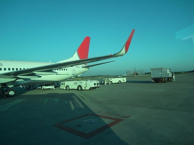 伊丹発の便で、成田に飛びます。<br />成田で出国、北京行き乗り換えです。<br />約4時間で北京首都空港に到着。<br />送迎を申し込んでいたので、ボーディングブリッジを出たとこで、プラカードを持ってお出迎えしていただき、専用車でホテルへ。