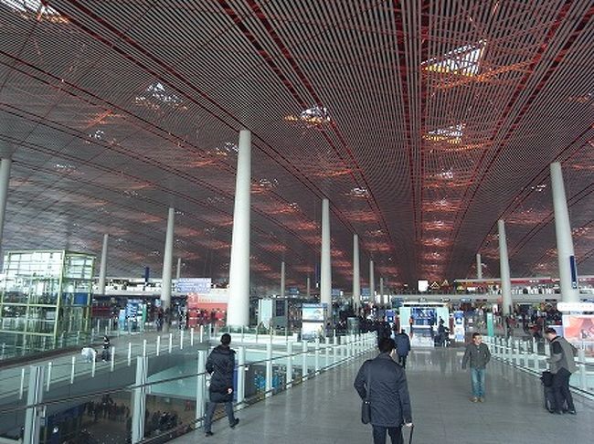 でかい！！！！こんな広さいるの？ってくらいでかいです。