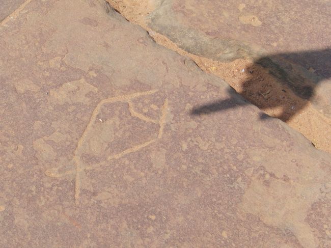 足元を見ると、<br /><br />魚の絵が彫ってあった。<br /><br />